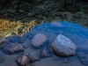Pamola Reflection - Chimney Pond