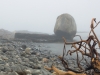 Kraken - Acadia National Park - Maine