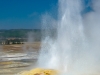 Upper Geyser Basin 1