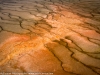 Grand Prismatic Bacteria 1