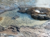 Upper Geyser Basin 4