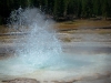 Upper Geyser Basin 5