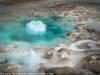 Upper Geyser Basin 6