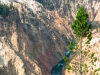 Grand Canyon of the Yellowstone 2