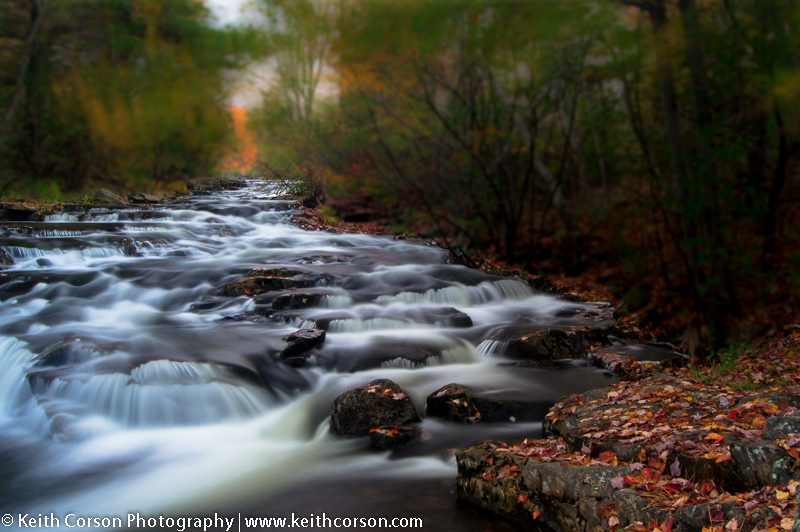 Acadia – October