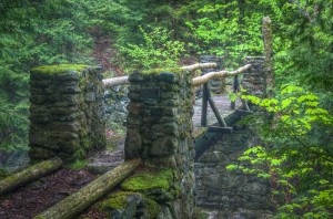 Cold Brook Bridge to Amphibrach Trail