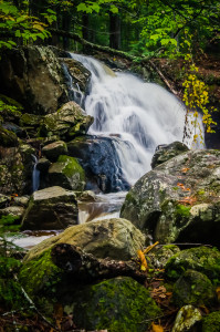 Dunn Notch Cascades 1