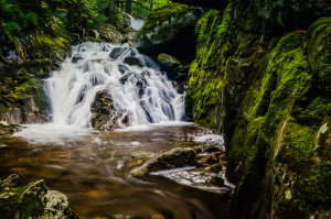 Dunn Notch Cascades 2