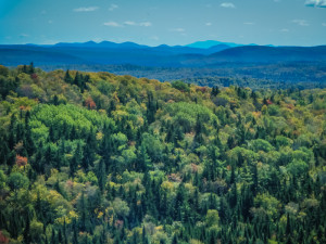 Baxter State Park from Round Pond Mountain Tower