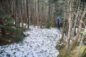 Gulf Hagas Mountain Snow