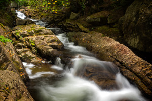 Rainbow Stream