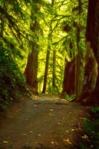 Eagle Creek Trail