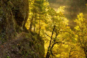 Eagle Creek Trail