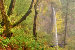 Latourell Falls