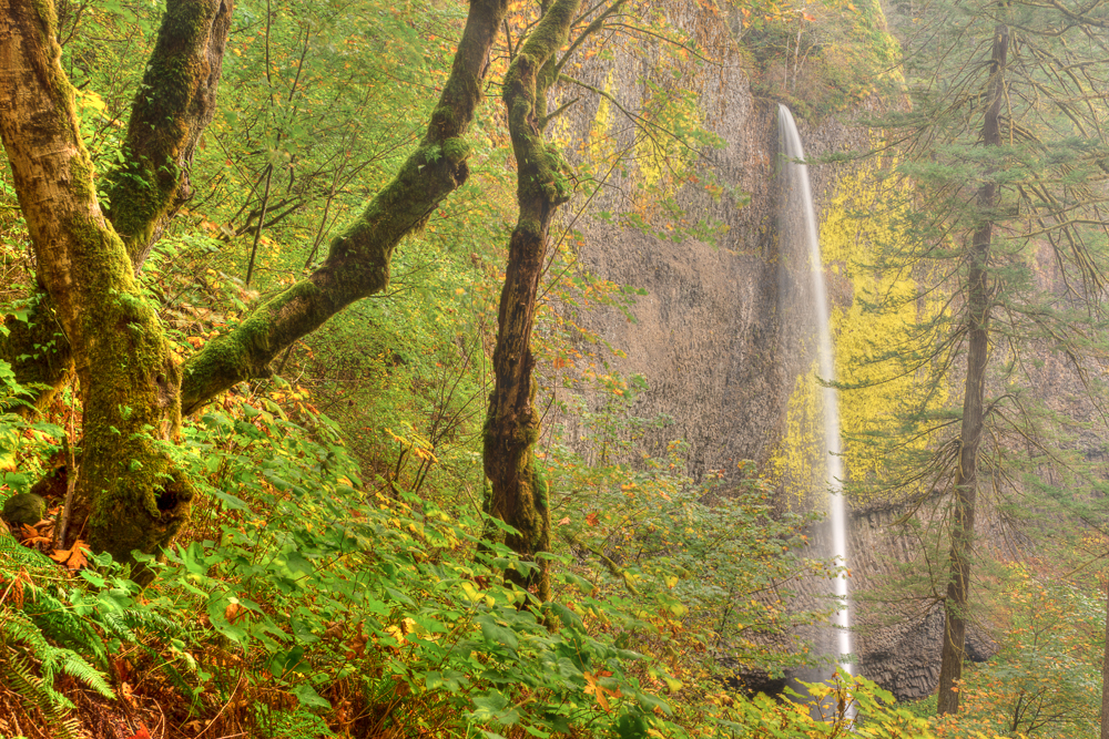 Columbia River Gorge – Day 1 and 2