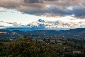 Mt Hood