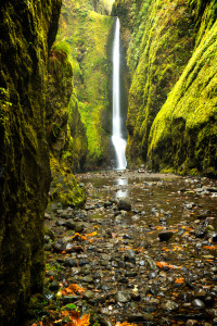 Oneonta Gorge 2