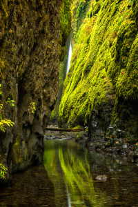 Oneonta Gorge 8