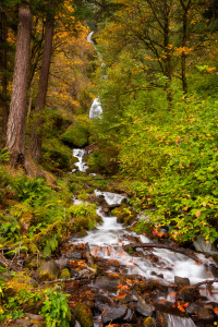 Wahkeena Falls