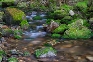 Castle Brook 2 8.0 sec @ f11 49mm ISO 200