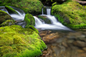 Castle Brook 1 2.0 sec @ f11 38mm ISO 50