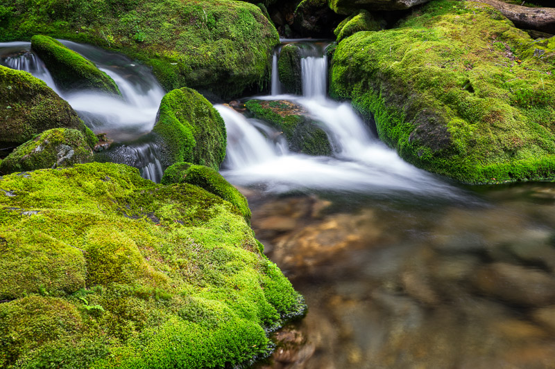 Castle Trail – Mt. Jefferson